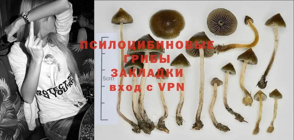 дмт Алексеевка