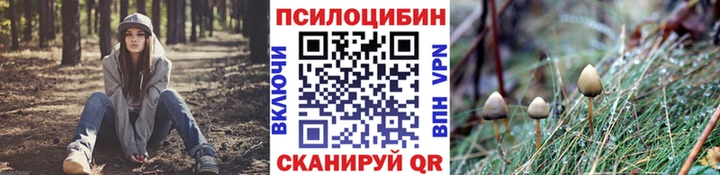 Псилоцибиновые грибы MAGIC MUSHROOMS  это наркотические препараты  Щёлково 